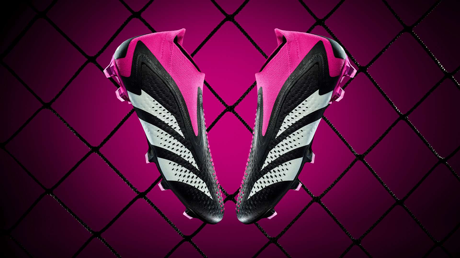 使得他们的 使得他们的